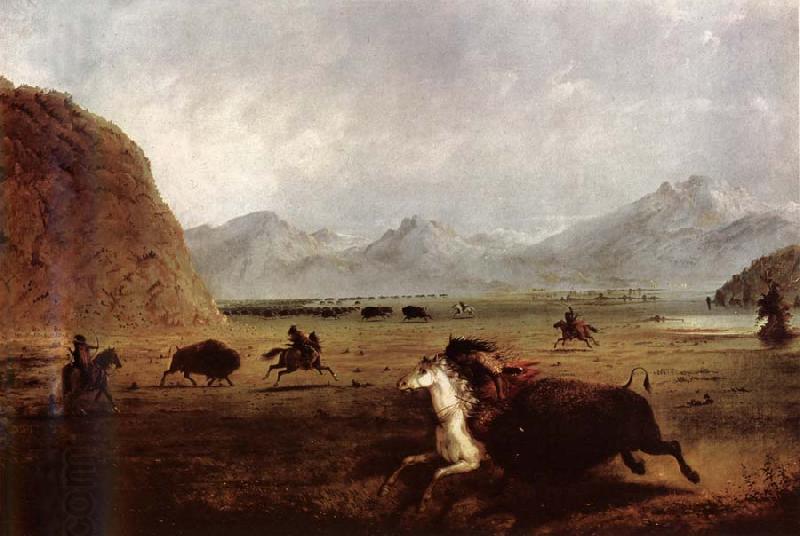 Alfred Jacob Miller Buffalo Hunt China oil painting art
